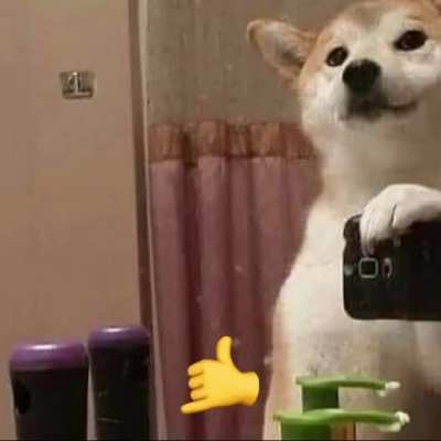🤙