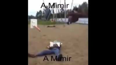 A mimir