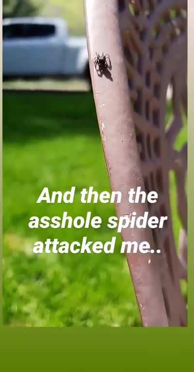 Apex Predator