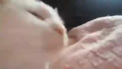 Слав&eacute;не на Халовин у Струмица е ерес!
