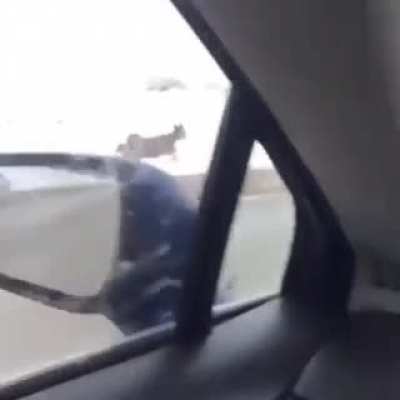 Dat frontflip tho