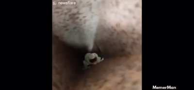 Made me flinch. Sorry if it&rsquo;s a repost