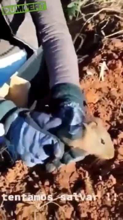 Rescue