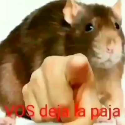 VOS DEJA LA PAJA