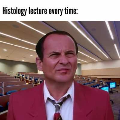Would&rsquo;ve preferred they just remove all histology instead of making boards P/F