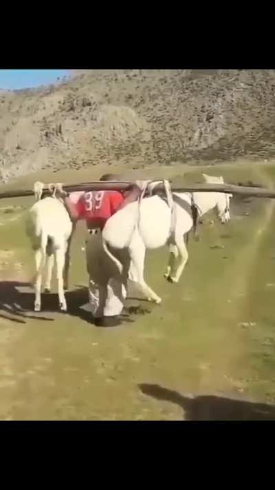 blursed_89