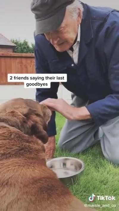 Two old pals saying one last goodbye.
