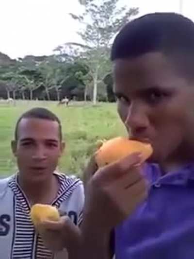 Un manguito clasico