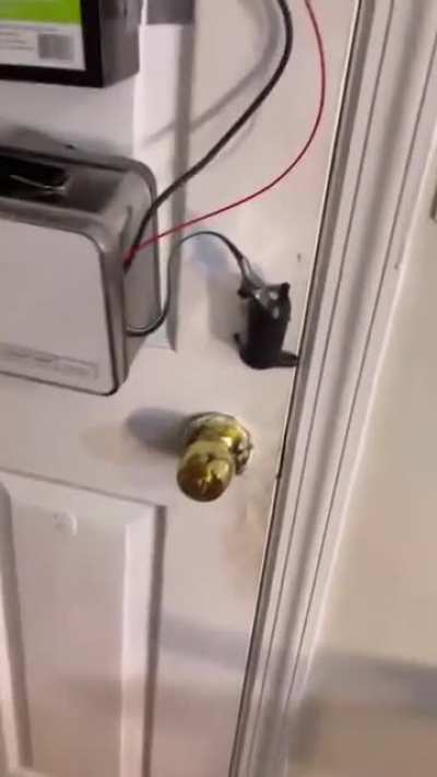 They will never catch me