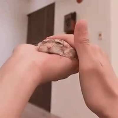 POV: Kohane After A Long Day