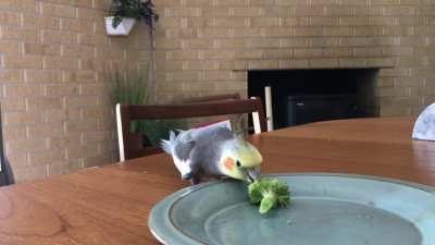My date is very polite and eats his veggies.