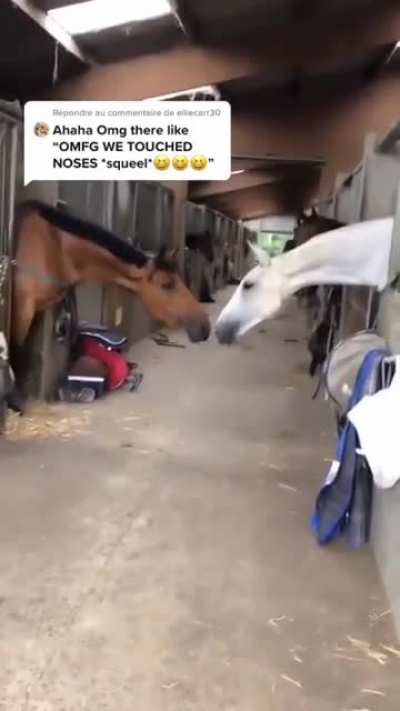 perfect cut in the horse scream 2