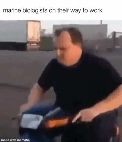 let’s go look at some fish