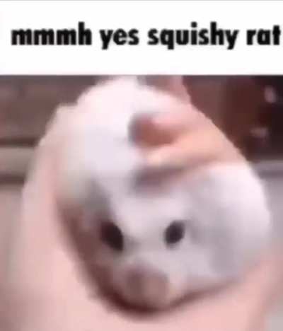losercity r&oslash;ɗɛɲṭ