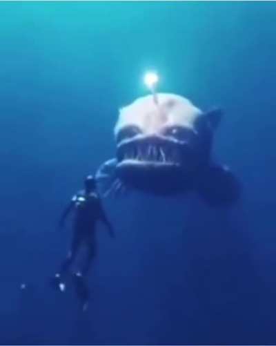 Run tananana
