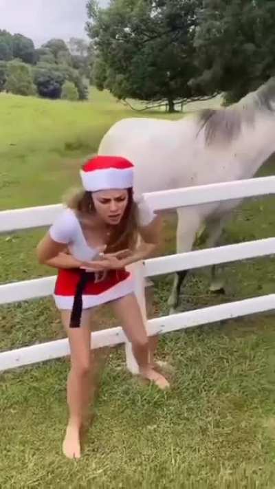 HMC while I pose with this horse in my cute Christmas outfit.