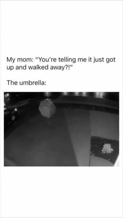 I'm telling the truth Mom!