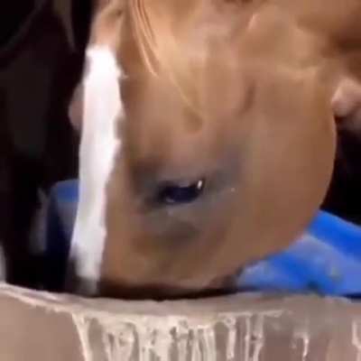 Ele definitivamente viu alguma coisa