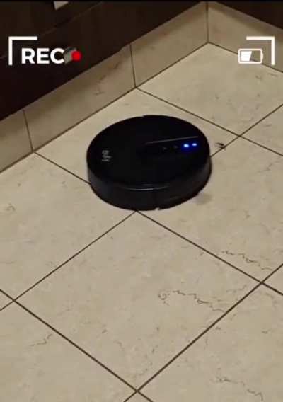 Not today spider