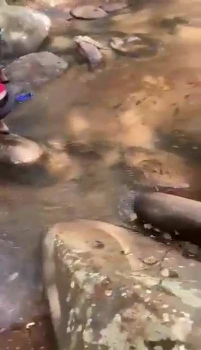 He tries to shoot a fish in the river at close range