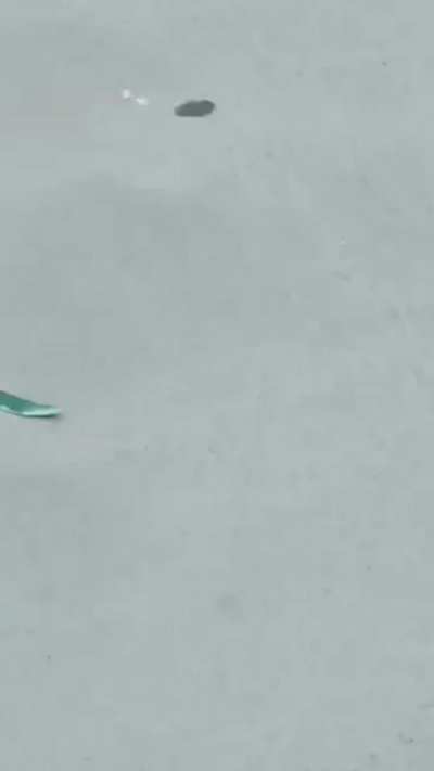 HMRB while I crush this hill.