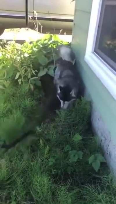 Are you done? Noooooooooo!