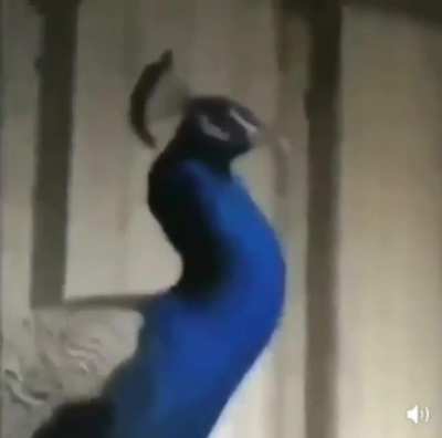&deg;□&deg;