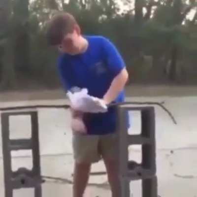 That's a strong stick (just wait...)