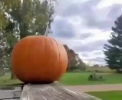 AK-47 vs Pumpkin