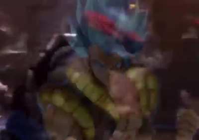 FighterZ Hell