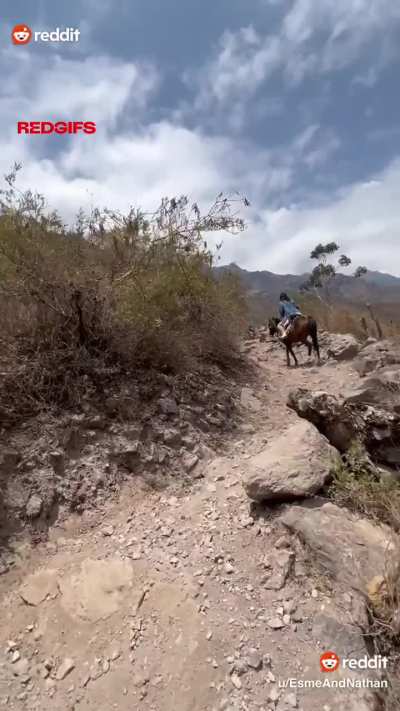 🐴 Horseback riding right outside of Canta, Peru 🇵🇪 It was both our first time on a horse and we saw llamas and alpacas!🦙