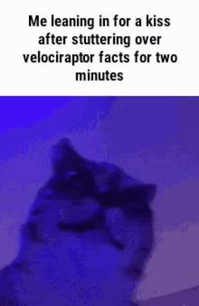 rule