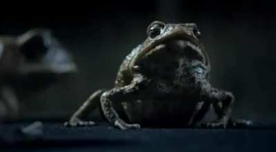 An Australian Ad for Ford Falcon Ecoboost.