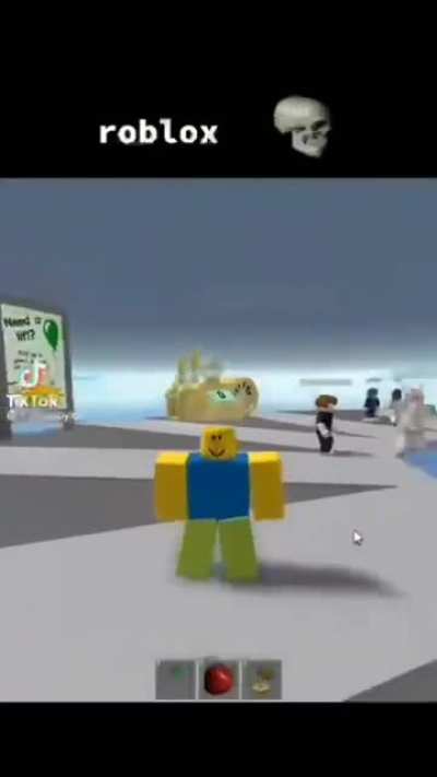 Roblox can you fix this?