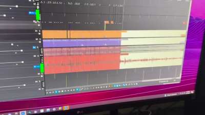 Vegas Pro 21 BUGGING OUT please help
