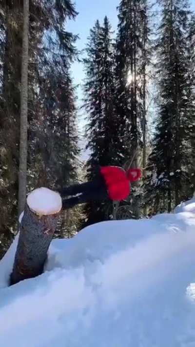Безудержное новогоднее веселье