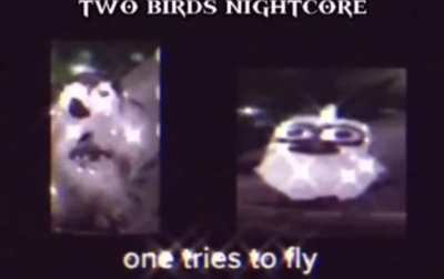 I can&rsquo;t stop fucking laughing at this