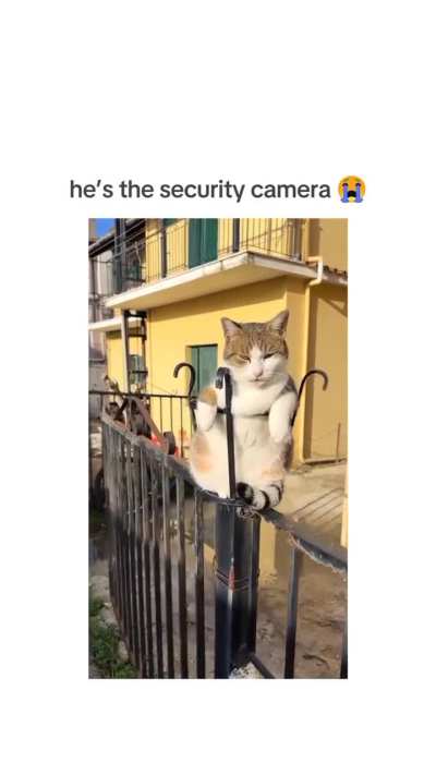 😍