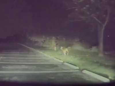 Valet Driver @ La Cantera Resort crashes customers Tesla while goofing off trying to launch it in cheetah mode. (Credit to OP in r/wellthatsucks. Mobile app wouldn&rsquo;t let me directly share it)