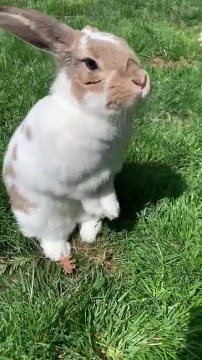Look at that nose