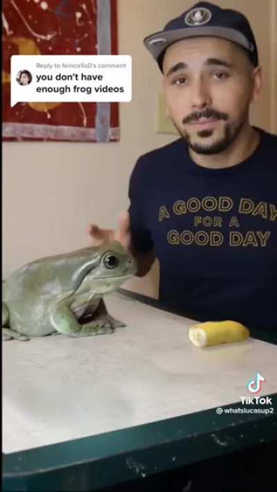 What a big frog...