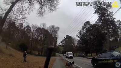 Bodycam video shows Cobb County officers tangling with traffic-blocking turkey