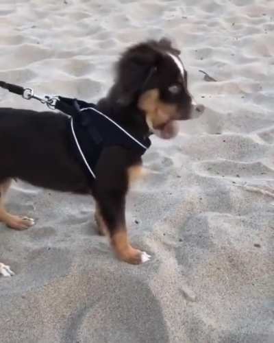 Sand is forbidden salt