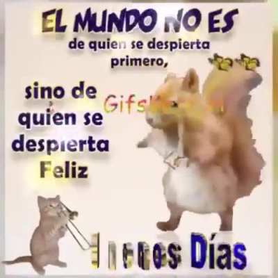 Feliz miércoles 😚😚😚