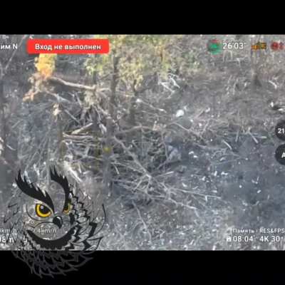 Two Ukrainian FPV drone operators hit by Russian FPV drone 