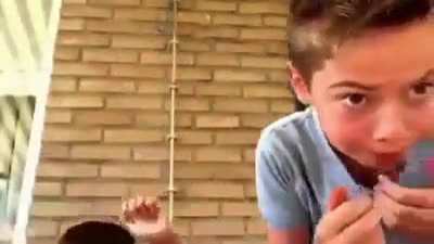 That screech