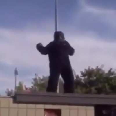 WCGW Trying to return to monkey