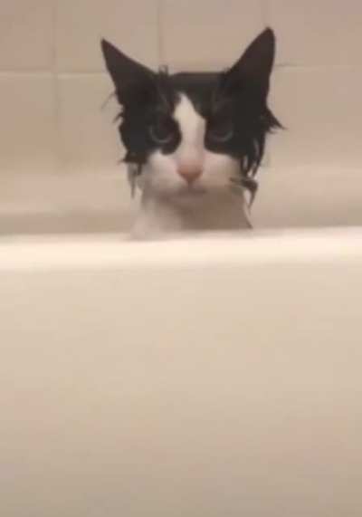 "Take a bath, they said. It will be fun, they said.&rdquo;