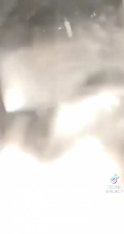 &lsquo;its a live squi-&lsquo;