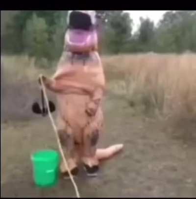 shitposting - Video #2022